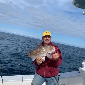 Meet your Posher, Terry